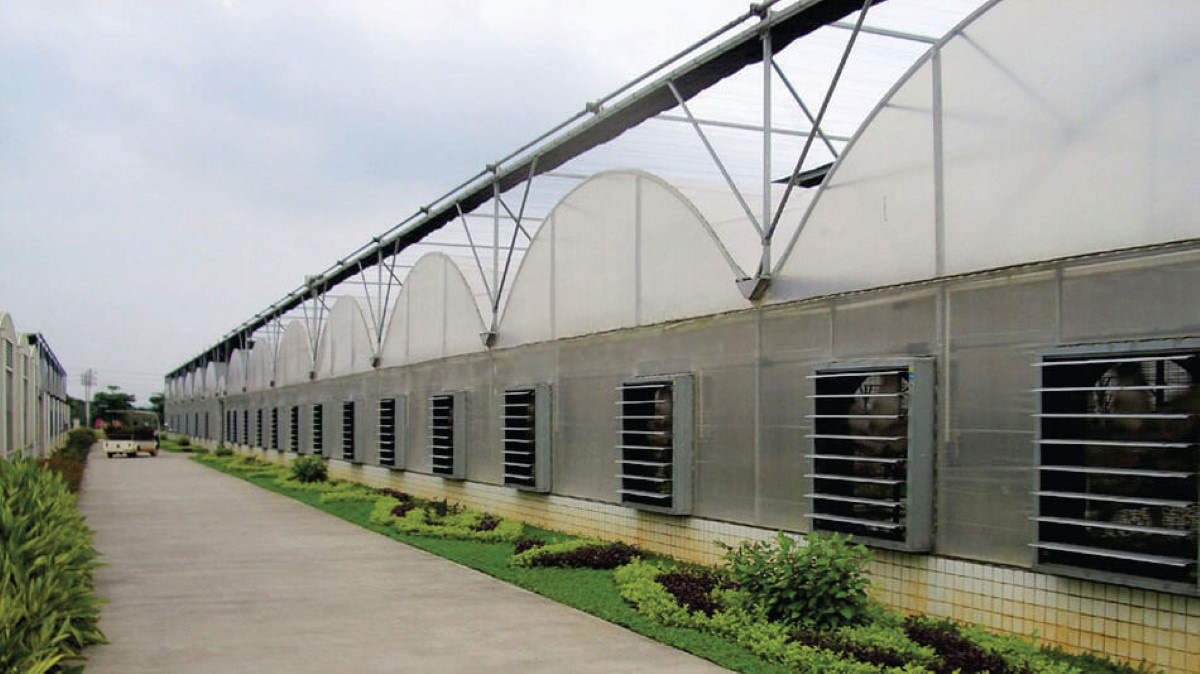 Những Lỗi Thường Gặp Khi Sử Dụng Quạt Trang Trại Năm 2025 – Đừng Bỏ Lỡ!