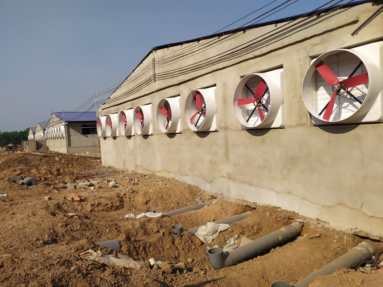 Xu hướng phát triển Quạt trang trại tại Việt Nam 2025: Bước đột phá công nghệ cho nông nghiệp