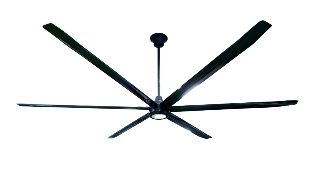 quạt trần thế hệ mới11